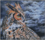 (image for) Great Horned Owl Storm